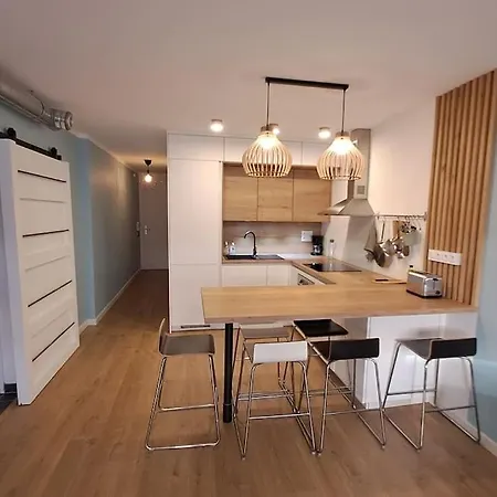 Apartment Cozy Et Calme A Grenoble